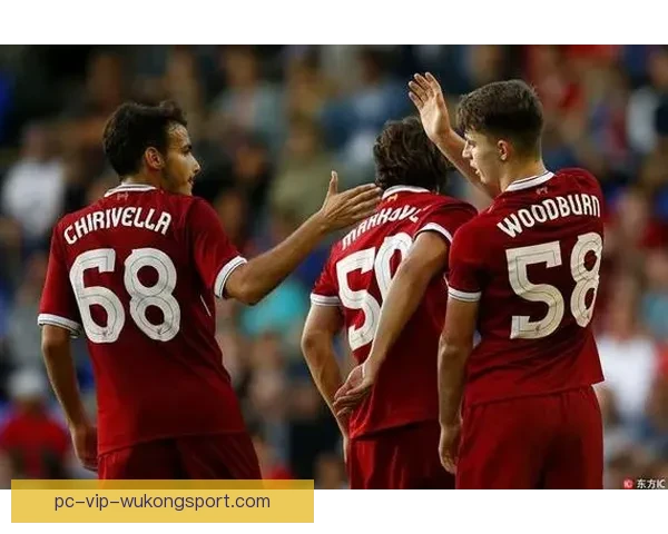 雨燕直播足球直播免费吗全面解析观看赛事的最佳选择平台推荐指南